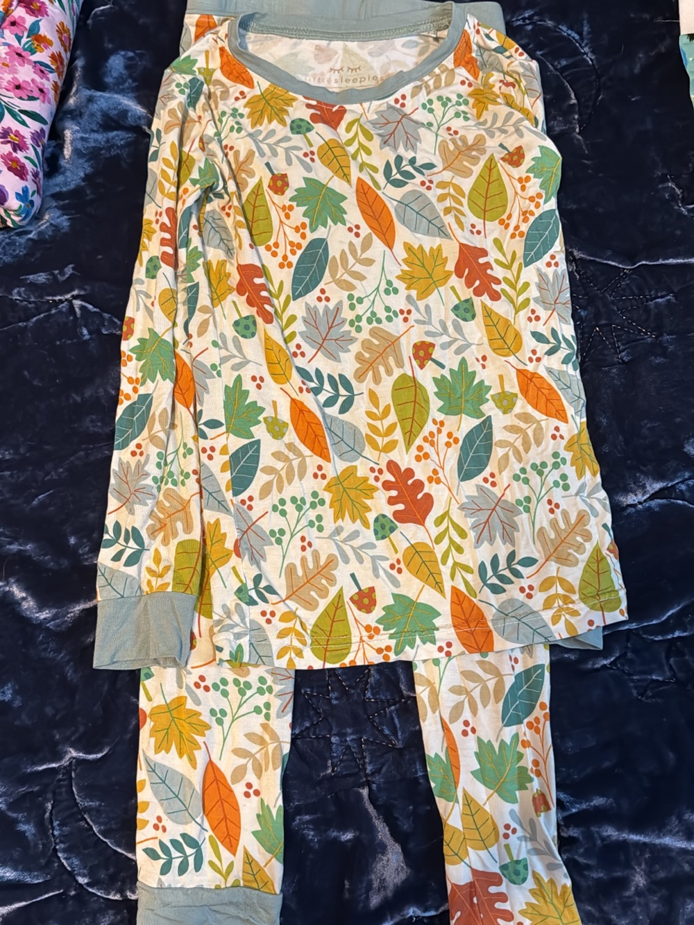 Little sleepies Autumn Leaves Pajama Set - Multicolor Leaf Print
